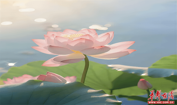 图片 1.png
